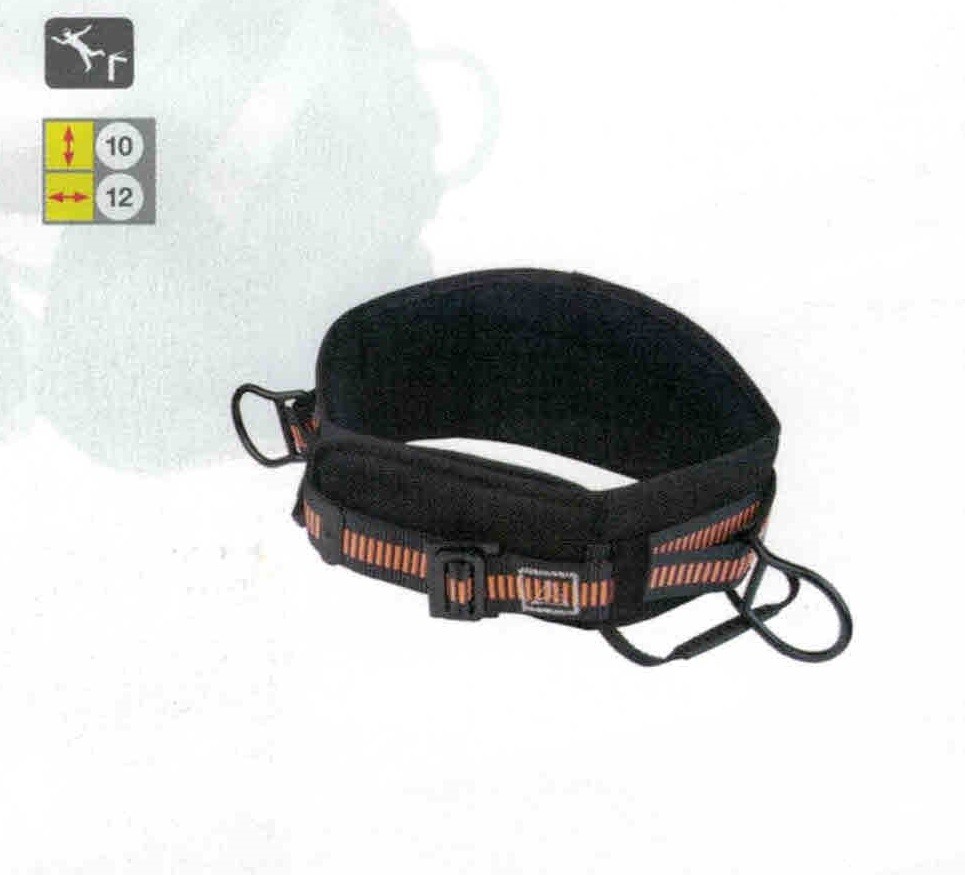 Cintura di mantenimento EX220